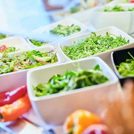 Hotel Hotel Planai By Alpeffect Hotels Schladming